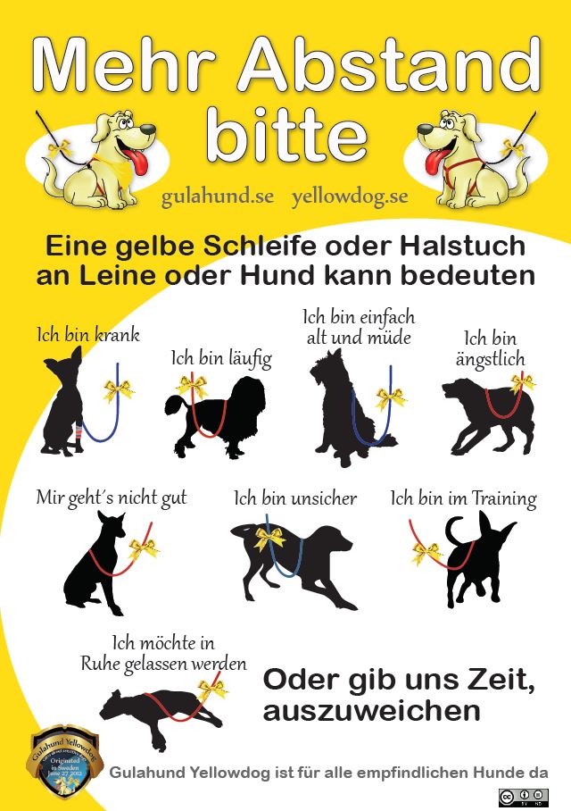 gelberhund