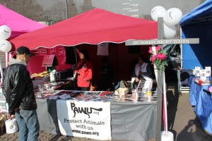 Aktionstag für Straßentiere