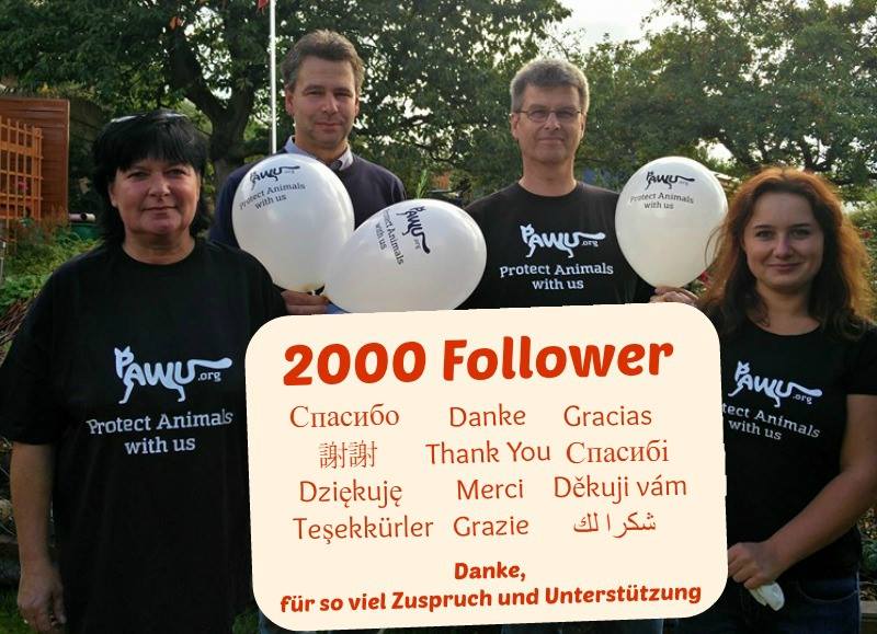 2000_Likes