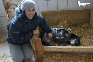 Die Liebe Alexandra, Leiterin vom Tierheim Sirius, hat heute Geburtstag 
