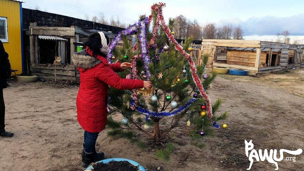 Weihnachten