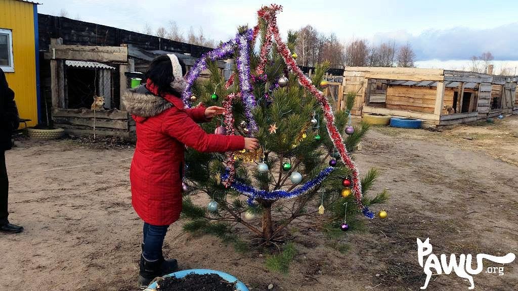 Weihnachten